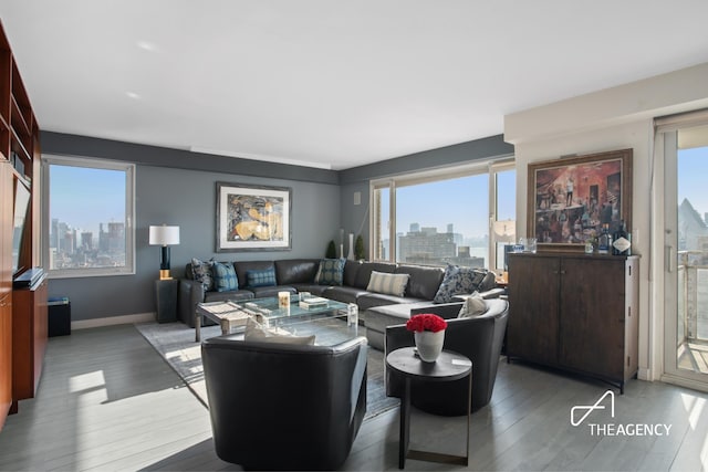 living area with a skyline view, wood finished floors, healthy amount of natural light, and baseboards