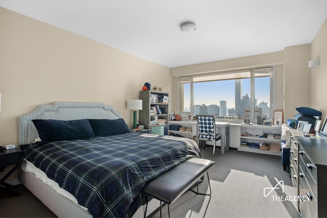 bedroom with carpet flooring and a skyline view