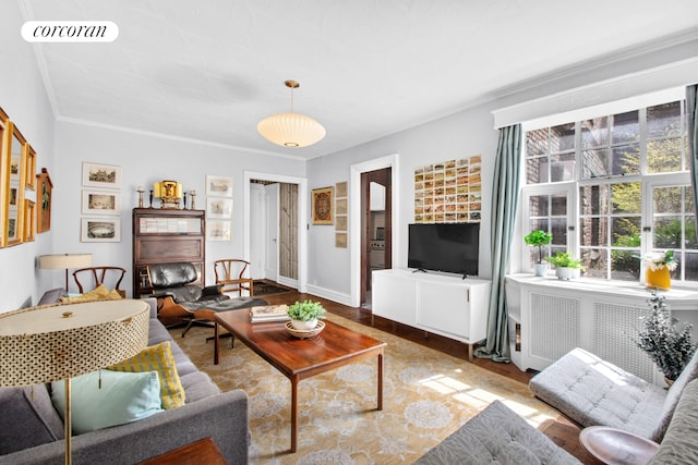 116 Pinehurst Ave Unit H14, New York City, NY 10033 - living room with wood finished floors, radiator, crown molding, and baseboards