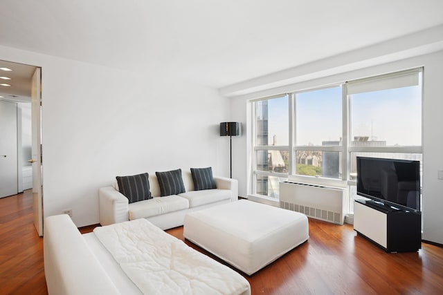 146 W 57th St Unit 53A, New York City, NY 10019 - living area with radiator heating unit, healthy amount of natural light, wood finished floors, and recessed lighting