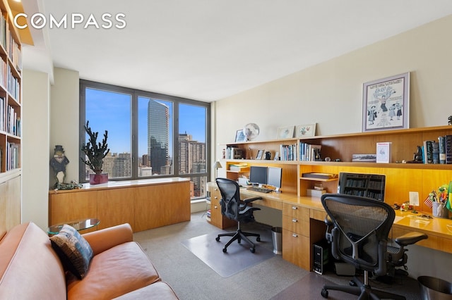 office space featuring carpet flooring