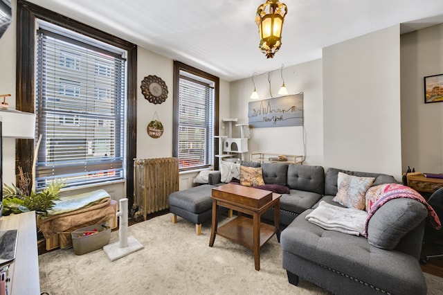 living room with radiator heating unit