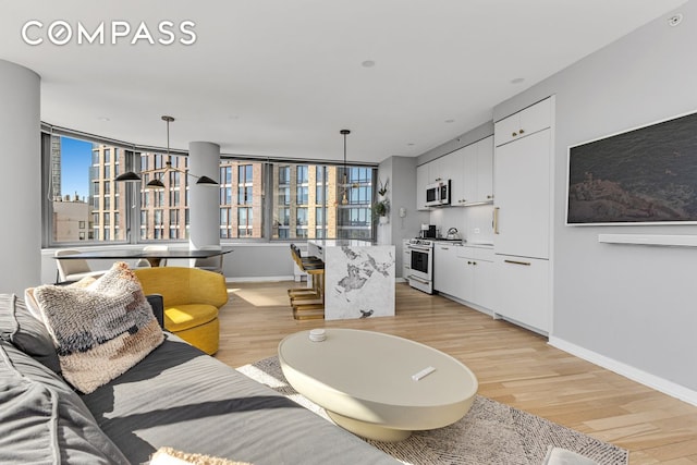 living area featuring light wood finished floors, plenty of natural light, and baseboards