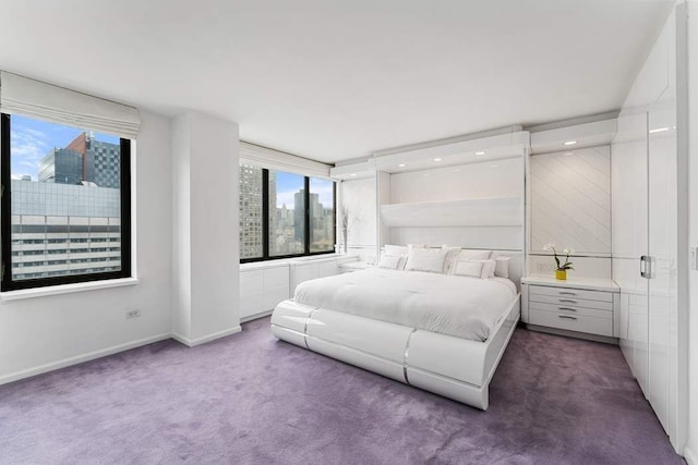 bedroom featuring carpet floors, baseboards, and a view of city