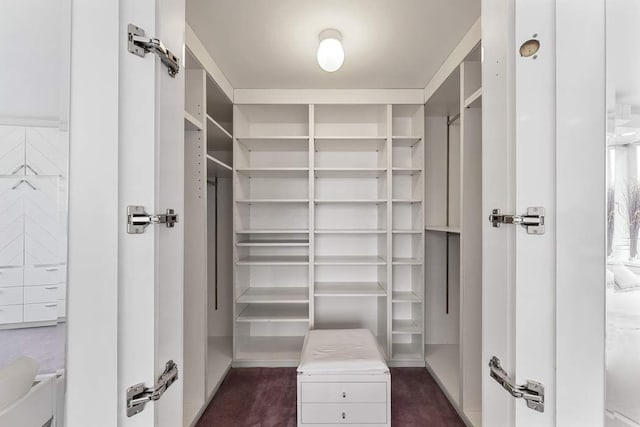 view of walk in closet