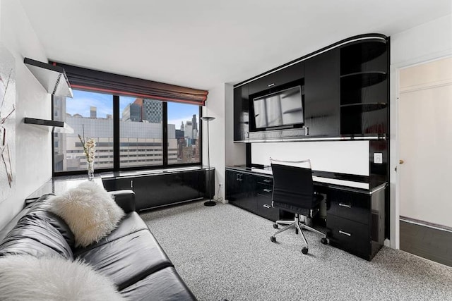office space featuring carpet flooring