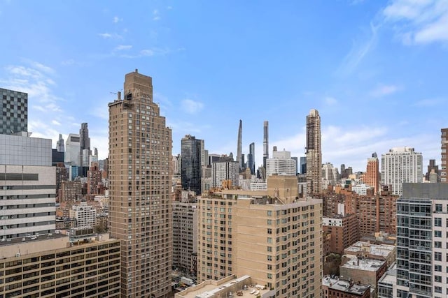 422 E 72nd St Unit 25C, New York City, NY 10021 - skyline view