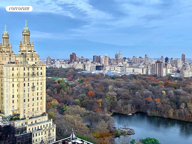 15 W 72nd St Unit 16V, New York City, NY 10023 - skyline view with a large body of water