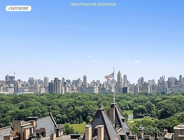 15 W 72nd St Unit 16V, New York City, NY 10023 - view of city skyline