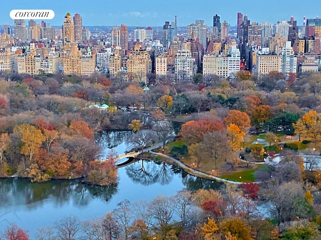 view of property location with a large body of water and a skyline view