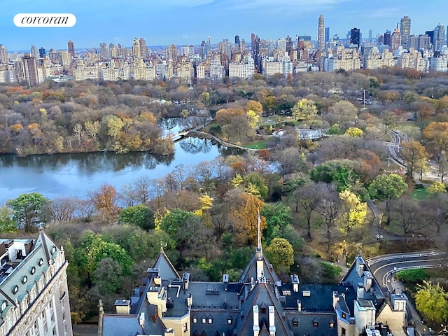 aerial overview of property's location with a skyline view and a nearby body of water