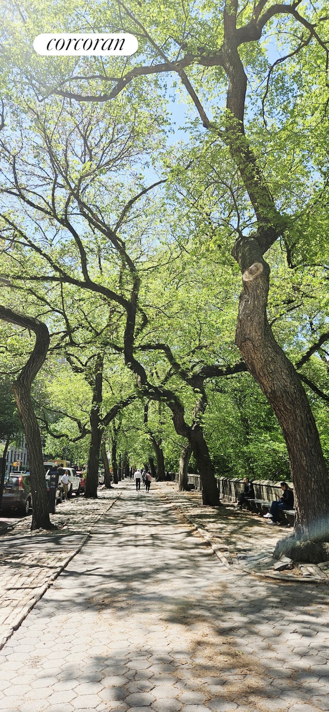 1200 5th Ave Unit 2A, New York City, NY 10029 - view of surrounding community