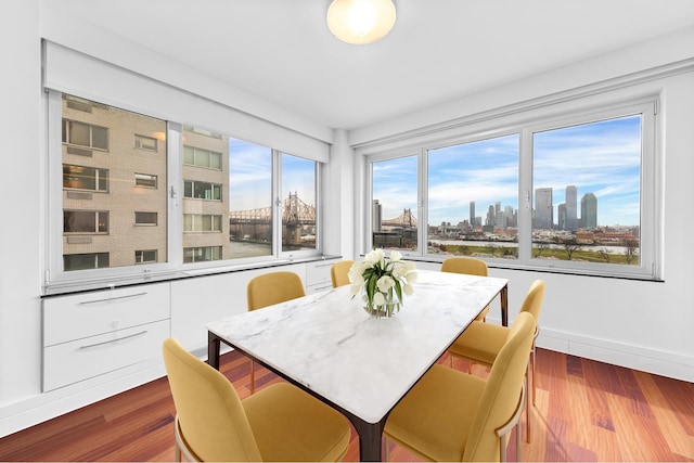 dining room with a view of skyline, dark wood-style floors, and baseboards