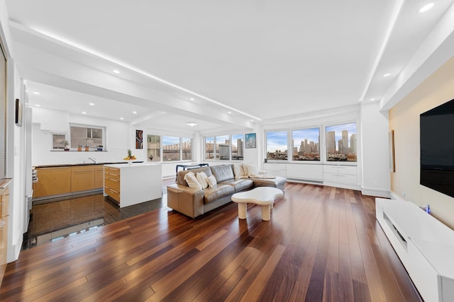 living area with dark wood finished floors and recessed lighting