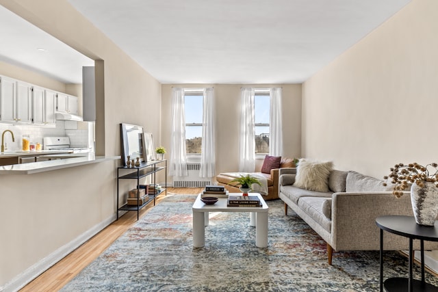 221 Mcdonald Ave Unit 6B, New York City, NY 11218 - living room with light wood-type flooring and baseboards