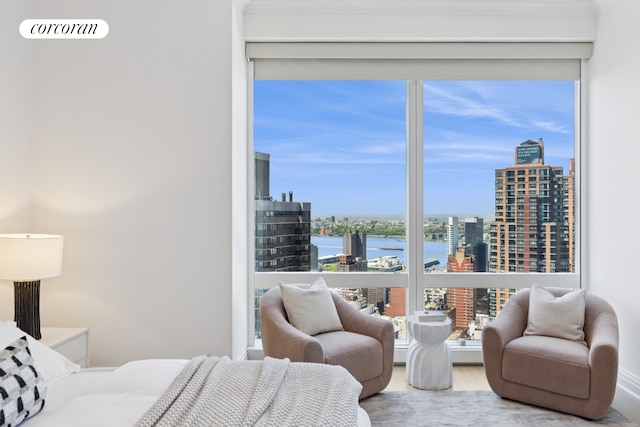 bedroom featuring a view of city, a water view, and wood finished floors