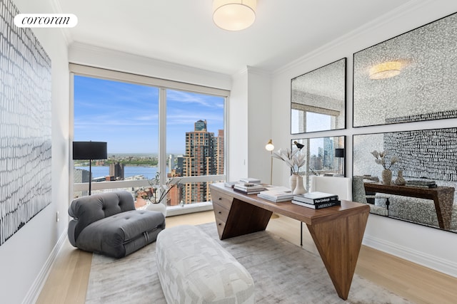 25 Columbus Cir Unit 56F, New York City, NY 10019 - office area with wood finished floors, a city view, ornamental molding, and a water view