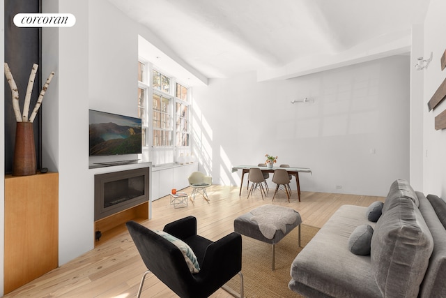 living area featuring light wood finished floors and a glass covered fireplace