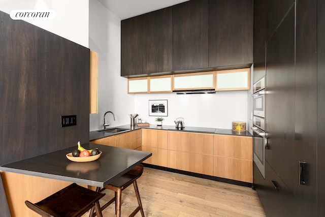 kitchen with a sink, black electric stovetop, light wood-type flooring, modern cabinets, and oven