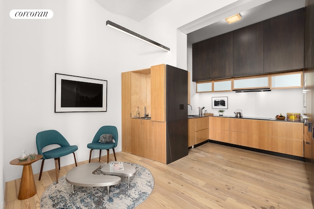 kitchen featuring light wood-type flooring, modern cabinets, and a sink