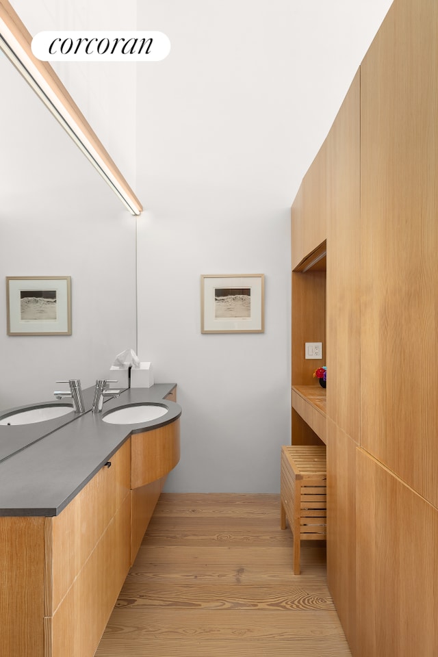 bathroom featuring wood finished floors and vanity