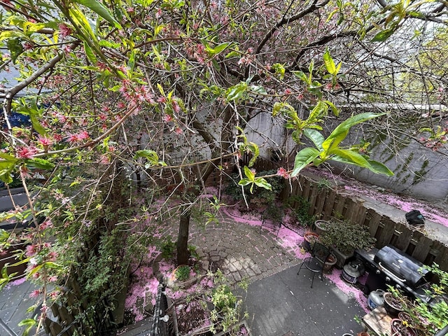 6 3rd St, New York City, NY 11231 - view of local wilderness