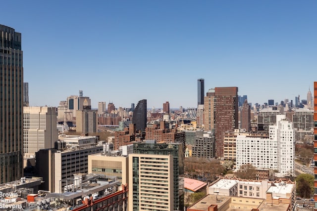 365 Bridge St Unit 23C, New York City, NY 11201 - city view