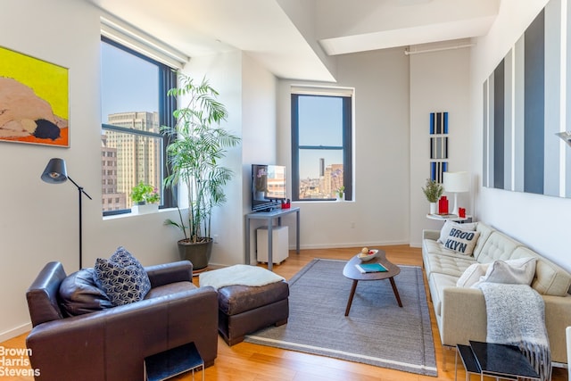 365 Bridge St Unit 23C, New York City, NY 11201 - living area featuring wood finished floors