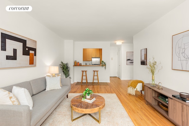 living room with light wood-type flooring