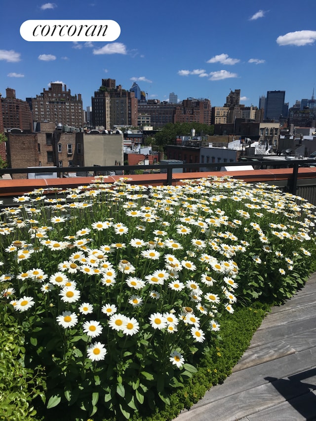 view of community with a skyline view