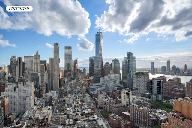 56 Leonard St Unit 44Be, New York City, NY 10013 - skyline view