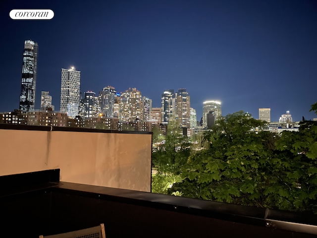 23 N Elliott Pl Unit 4, New York City, NY 11205 - view of city with a view of city lights