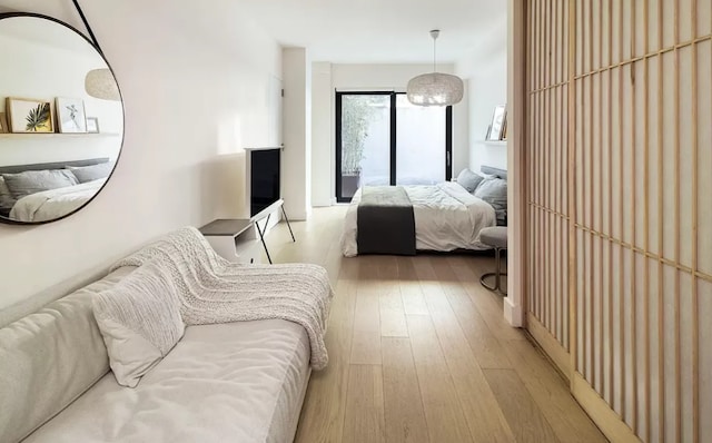bedroom with wood-type flooring