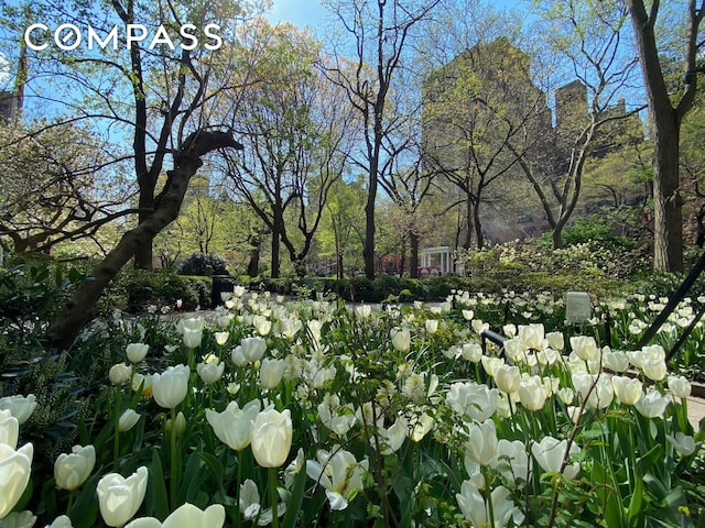 82 Irving Pl Unit 3E, New York City, NY 10003 - view of yard