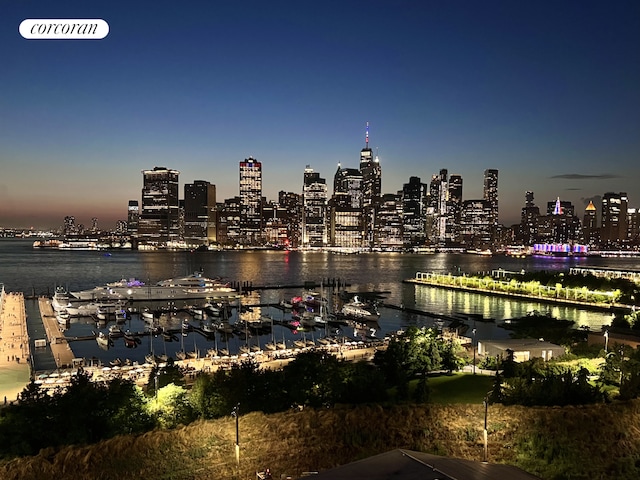 water view with a view of city