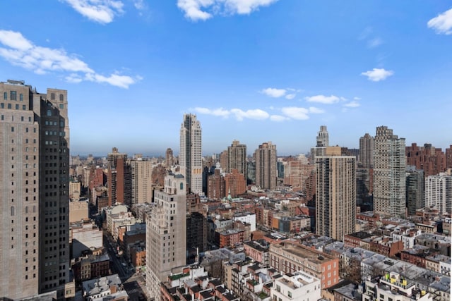 345 E 80th St Unit 18A, New York City, NY 10075 - view of city skyline
