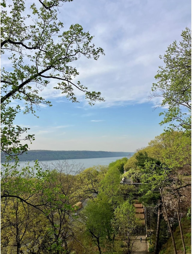 30 Bogardus Pl Unit 2B, New York City, NY 10040 - water view