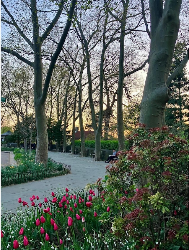 30 Bogardus Pl Unit 2B, New York City, NY 10040 - view of property's community
