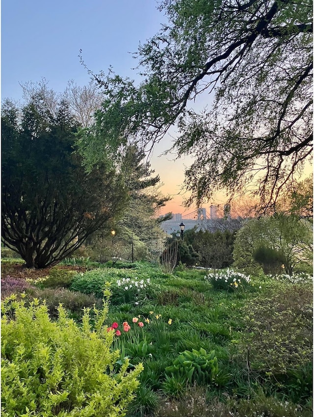 30 Bogardus Pl Unit 2B, New York City, NY 10040 - view of nature at dusk