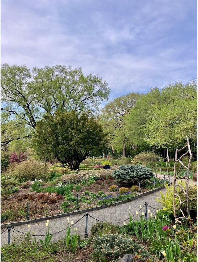 30 Bogardus Pl Unit 2B, New York City, NY 10040 - view of yard