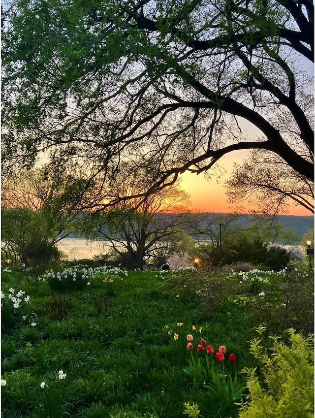 30 Bogardus Pl Unit 2B, New York City, NY 10040 - water view