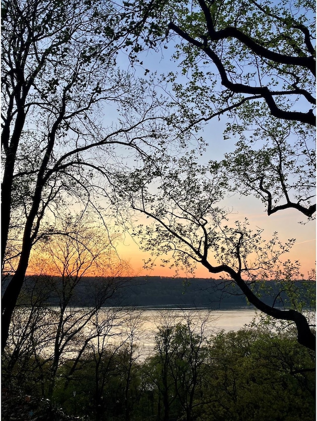30 Bogardus Pl Unit 2B, New York City, NY 10040 - water view