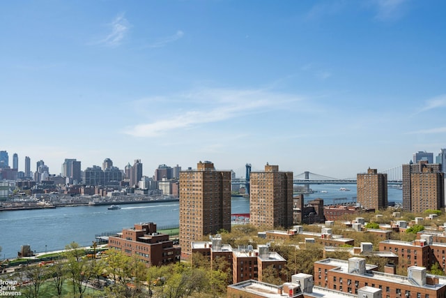 575 Grand St Unit E1806, New York City, NY 10002 - skyline view with a large body of water and a notable bridge