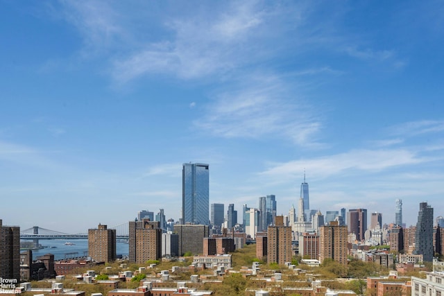 575 Grand St Unit E1806, New York City, NY 10002 - skyline view featuring a large body of water