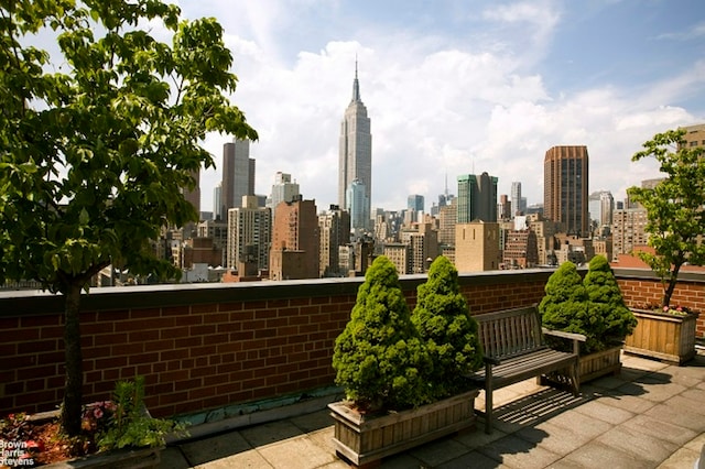 view of patio / terrace featuring a skyline view