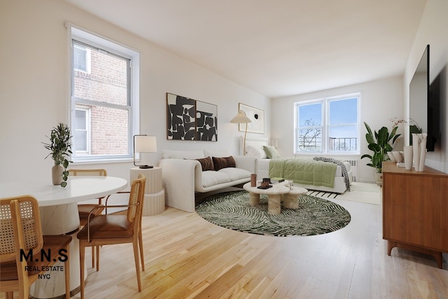 84-55 Daniels St Unit 5-E, New York City, NY 11435 - living room with wood finished floors