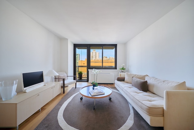 living room with light wood-type flooring