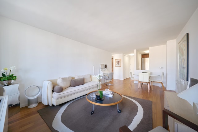 living room featuring wood finished floors