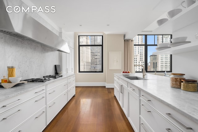 kitchen featuring exhaust hood, a sink, gas cooktop, backsplash, and baseboards