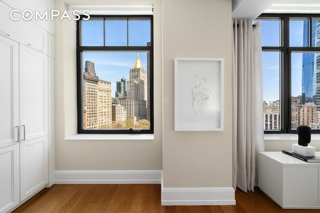 detailed view of a skyline view, baseboards, and wood finished floors